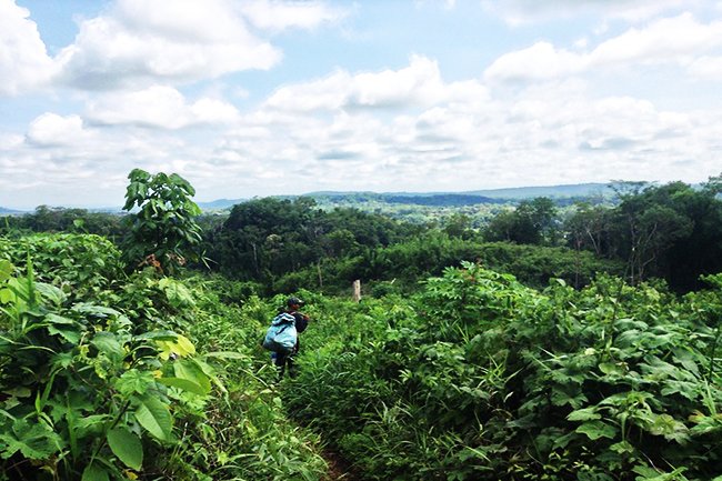 Virachey National Park Trekking Tour 5 Days